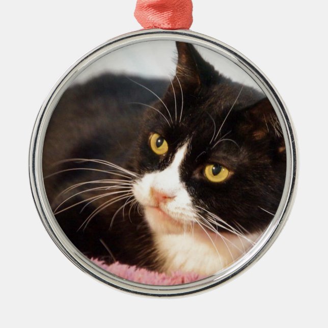 Ornamento De Metal Sylvester (Frente)