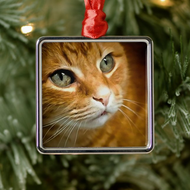 Ornamento De Metal Tabby Ginger Adorável Posicionando Retrato Pet (Árvore)