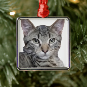 Ornamento De Metal Tabby Kitten