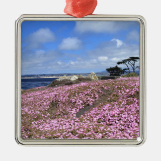 Ornamento De Metal Tapete pacífico do roxo do bosque