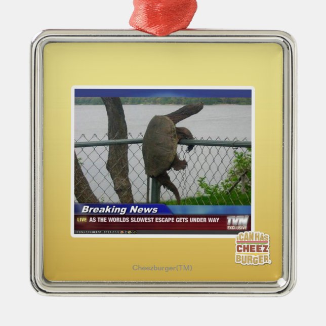 Ornamento De Metal Tartaruga de Excaping (Frente)