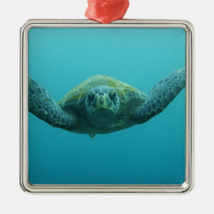 Ornamento De Metal Tartaruga Verde (Chelonia mydas agassisi), Central