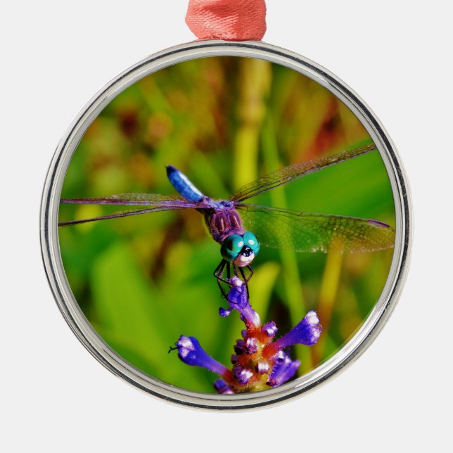Ornamento De Metal Teal Rainbow Dragonfly (Frente)