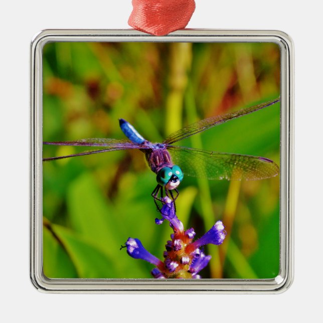 Ornamento De Metal Teal Rainbow Dragonfly (Frente)