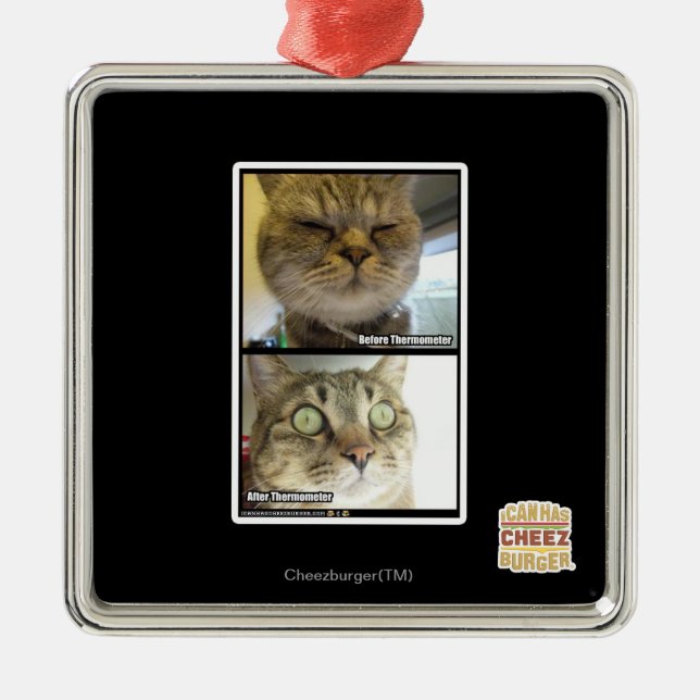 Ornamento De Metal Termômetro (Frente)