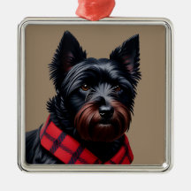 Terrier Escocês