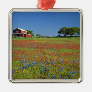 Ornamento De Metal Texas, Texas Hill Country, pincel texano