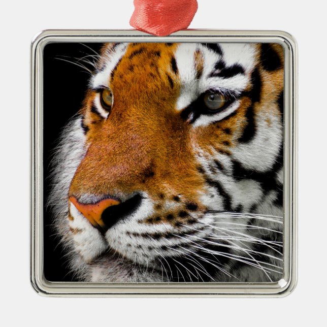 Ornamento De Metal Tigre (Frente)