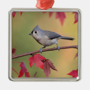 Ornamento De Metal Titmice adornados