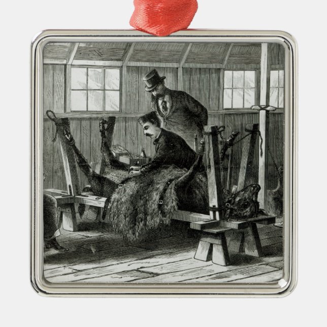 Ornamento De Metal Tomando o vírus da vitela (Frente)