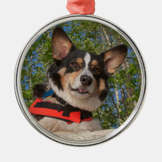 Ornamento De Metal Tomando uma ruptura