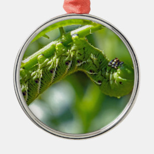 Ornamento De Metal Tomate Hornworm