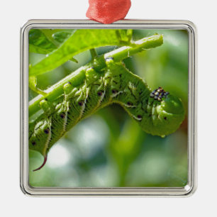 Ornamento De Metal Tomate Hornworm