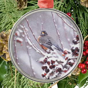 Ornamento De Metal Tordo Americano Guerreador no Inverno