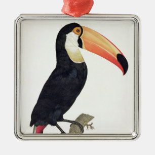 Ornamento De Metal Toucan No.2, 'da história dos pássaros de Paradi