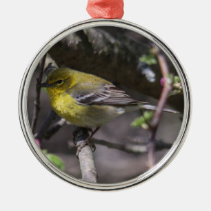Ornamento De Metal Toutinegra do pinho