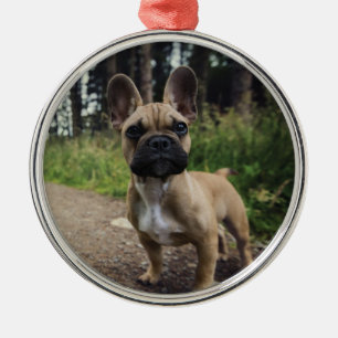 Ornamento De Metal Travesseiro decorativo de Buldogue Francês