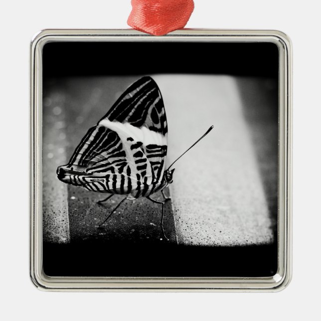 Ornamento De Metal travessia da borboleta (Frente)