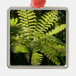 Ornamento De Metal Tree Fern na Floresta Tropical