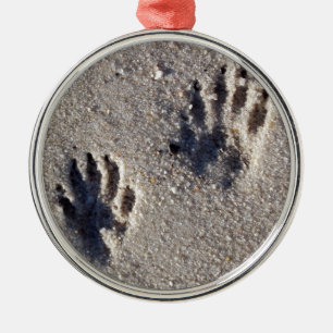 Ornamento De Metal Trilhas do guaxinim na areia