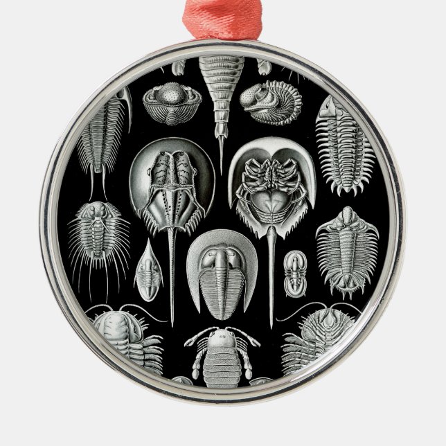 Ornamento De Metal Trilobites e fósseis em preto e branco (Frente)