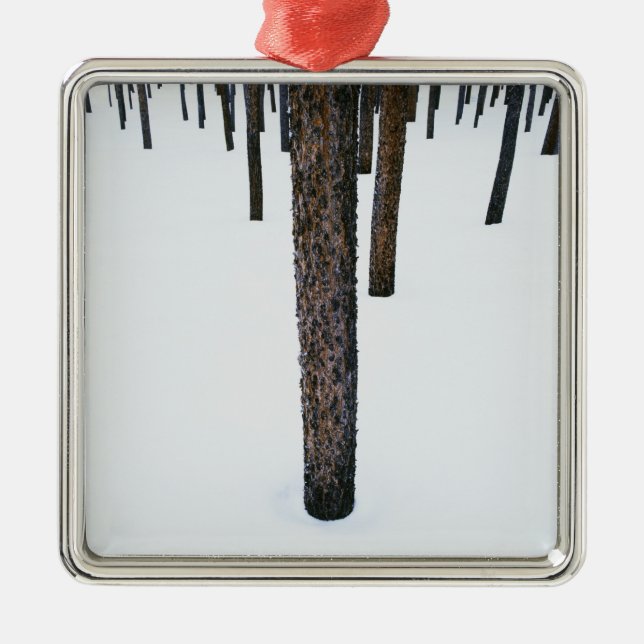 Ornamento De Metal Troncos de árvore na neve (Frente)