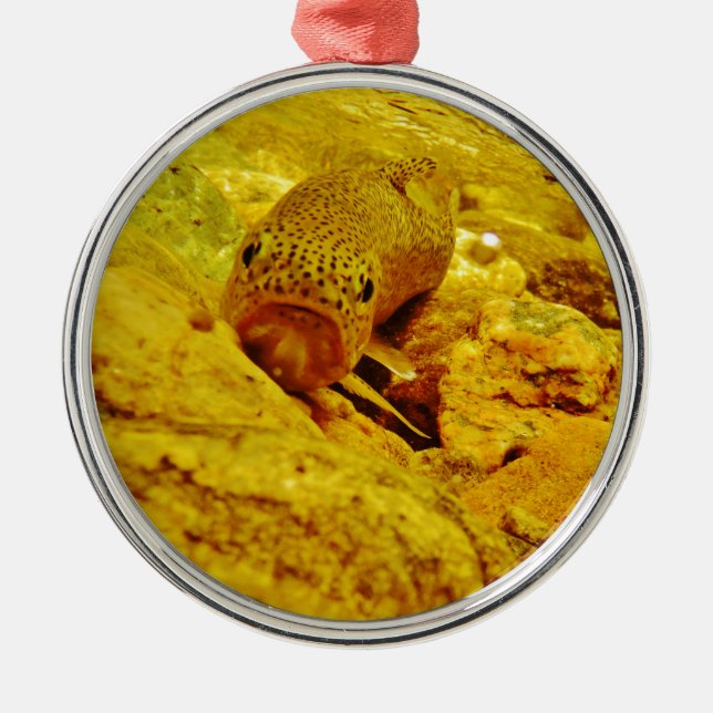 Ornamento De Metal Truta em fluxo (Frente)