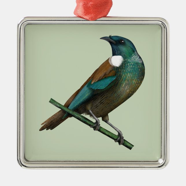 Ornamento De Metal Tui New Zealands Bird (Frente)