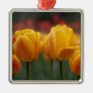Ornamento De Metal Tulipas 2