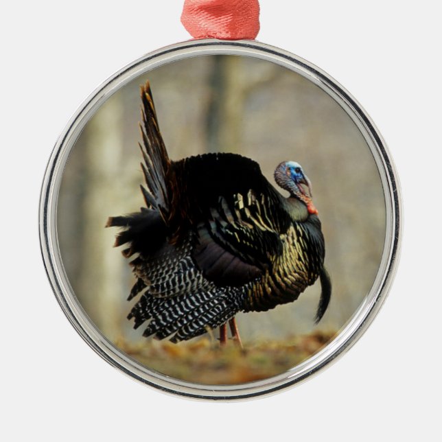Ornamento De Metal Turkey struting masculino, Illinois (Frente)