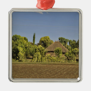 Ornamento De Metal Um campo agrícola em frente a casas com telhado de