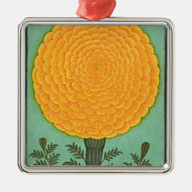 Ornamento De Metal Um cravo-de-defunto, do álbum pequeno de Clive (Frente)