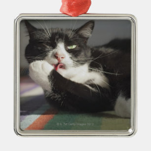 Ornamento De Metal Um gato que lambe o é pata