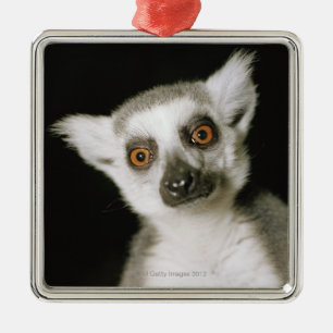 Ornamento De Metal Um lemur.
