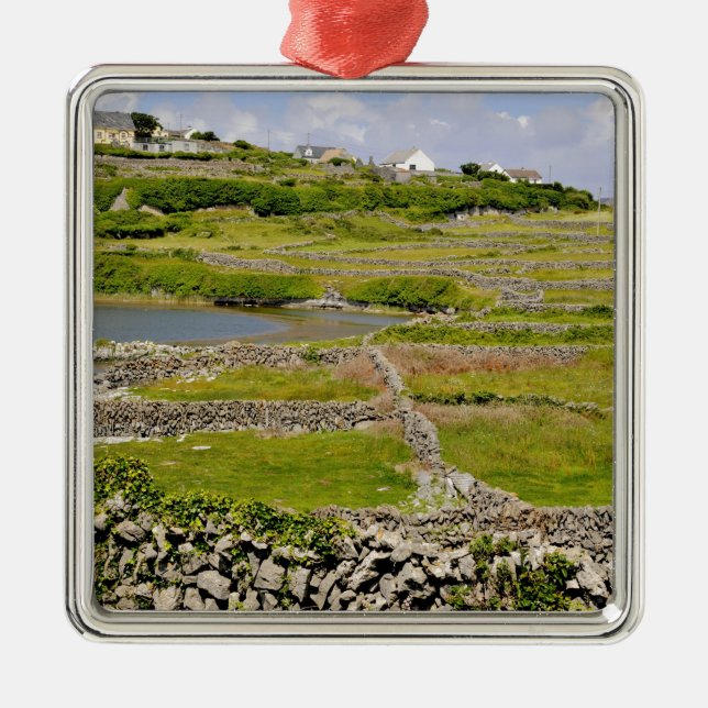 Ornamento De Metal Um muro de pedra irlandês (Frente)