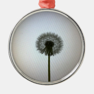 Ornamento De Metal Um Solteiro Dandelion contra um pano de fundo bran