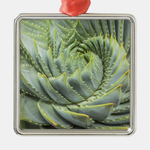 Ornamento De Metal Um Succulent verde & branco