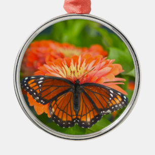 Ornamento De Metal Uma Borboleta Viceroy em Zinnias Laranja