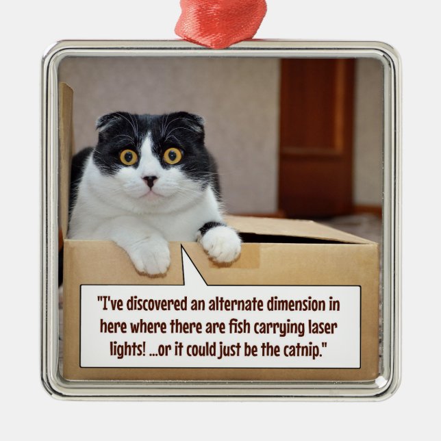 Ornamento De Metal Uma dimensão alternativa (Frente)