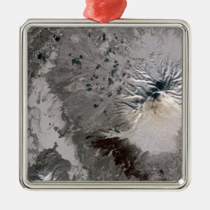 Ornamento De Metal Uma pluma rica em cinzas sobe