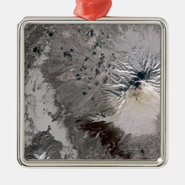 Ornamento De Metal Uma pluma rica em cinzas sobe (Frente)