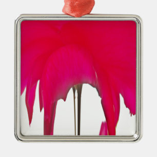 Ornamento De Metal Uma Rosa vermelha maravilhosa sob o céu branco