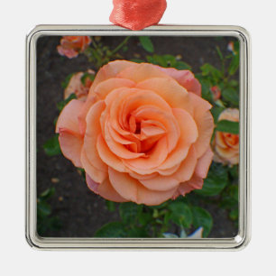 Ornamento De Metal Uma Única Flor de Laranja