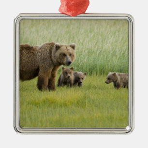 Ornamento De Metal Urso Pardo do Alasca Fêmea e três Filhotes, Ursus