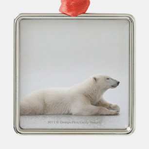 Ornamento De Metal Urso polar que coloca em um lago do gelo