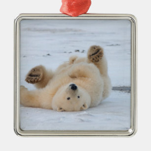 Ornamento De Metal urso polar, Ursus maritimus, filhote rolando