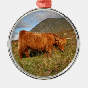 Ornamento De Metal Vacas escocesas das montanhas - Scotland