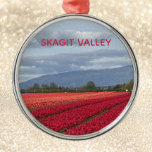 Vale de Skagit Washington Estado Tulipa Deslumbran