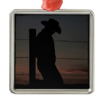 Vaqueiro no por do sol