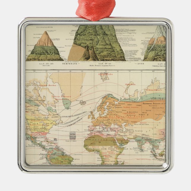 Ornamento De Metal Vegetação da distribuição (Frente)